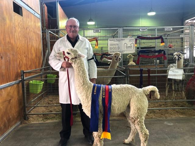 Bardella Park Domingo