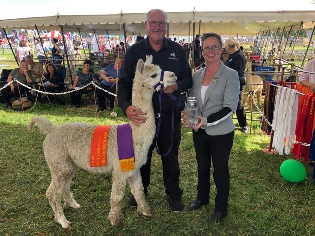 Bardella Park Domingo