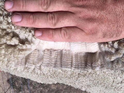 Malakai in the Groove ET